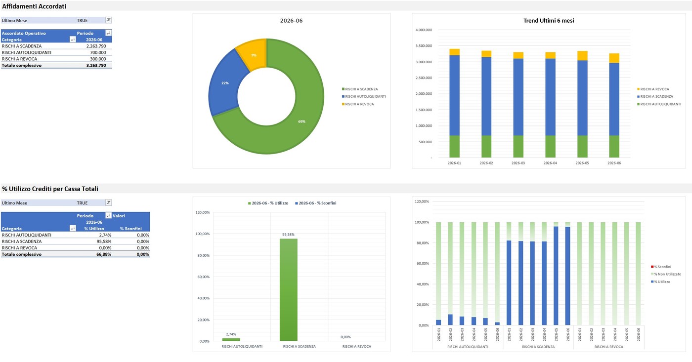 Software analisi Centrale Rischi Banca Italia